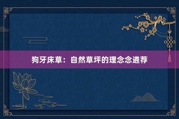 狗牙床草：自然草坪的理念念遴荐