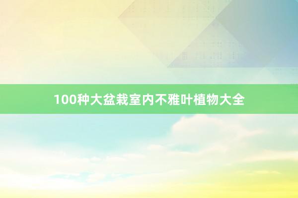 100种大盆栽室内不雅叶植物大全
