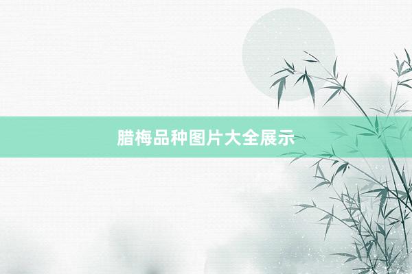 腊梅品种图片大全展示
