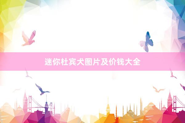 迷你杜宾犬图片及价钱大全