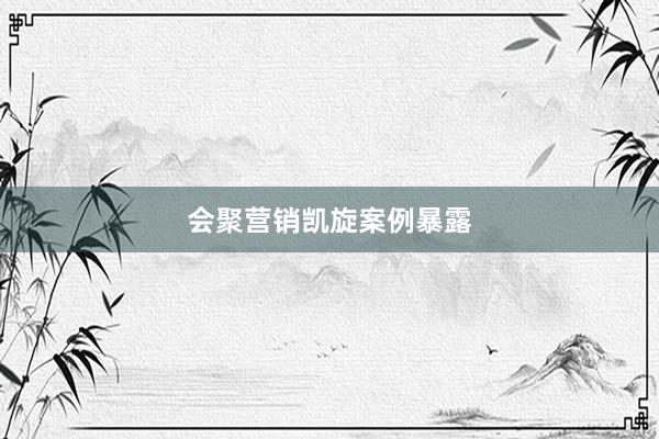 会聚营销凯旋案例暴露